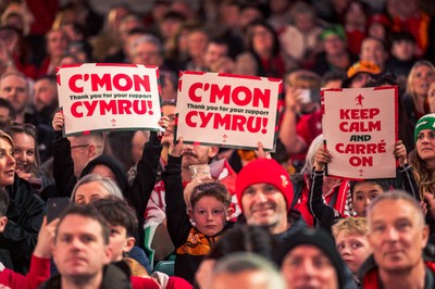 140326 - Wales v Italy - Guinness Six Nations - Fans During the Game