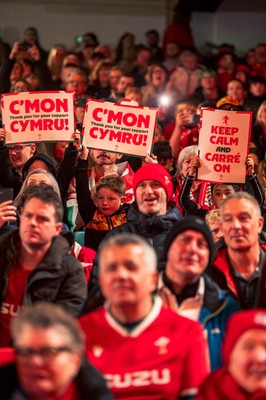 140326 - Wales v Italy - Guinness Six Nations - Fans During the Game