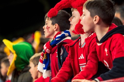 140326 - Wales v Italy - Guinness Six Nations - Fans During the Game