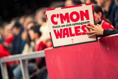 140326 - Wales v Italy - Guinness Six Nations - Fans During the Game