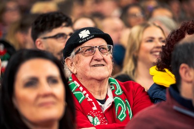 140326 - Wales v Italy - Guinness Six Nations - Fans During the Game