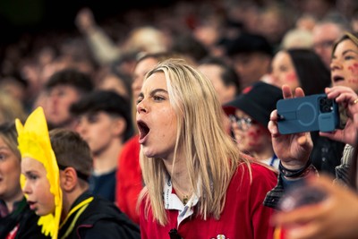 140326 - Wales v Italy - Guinness Six Nations - Fans During the Game