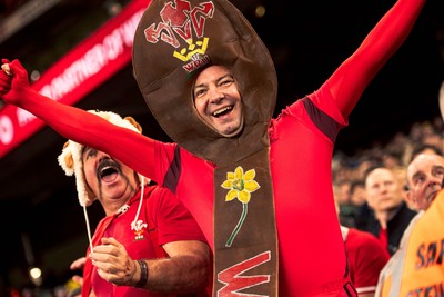 140326 - Wales v Italy - Guinness Six Nations - Fans During the Game