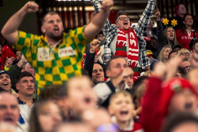 140326 - Wales v Italy - Guinness Six Nations - Fans During the Game