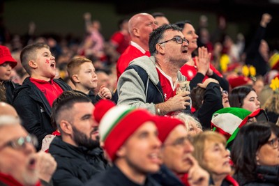 140326 - Wales v Italy - Guinness Six Nations - Fans During the Game