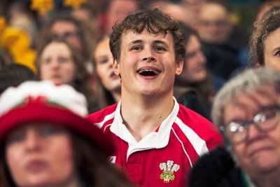 140326 - Wales v Italy - Guinness Six Nations - Fans During the Game