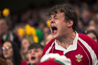 140326 - Wales v Italy - Guinness Six Nations - Fans During the Game