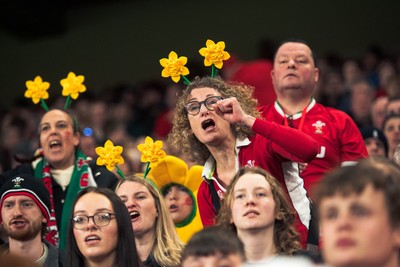 140326 - Wales v Italy - Guinness Six Nations - Fans During the Game