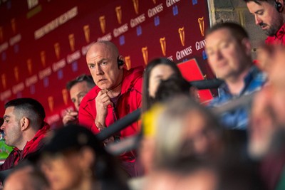 140326 - Wales v Italy - Guinness Six Nations - Wales Coach Steve Tandy looks on during the game 