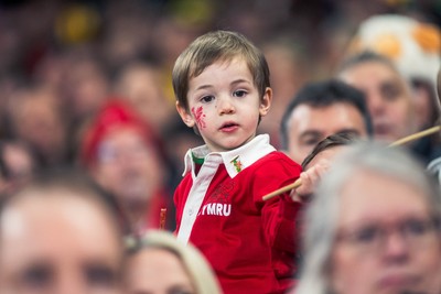 140326 - Wales v Italy - Guinness Six Nations - Fans During the Game
