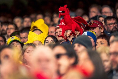 140326 - Wales v Italy - Guinness Six Nations - Fans During the Game