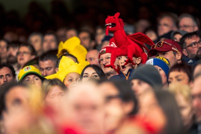 140326 - Wales v Italy - Guinness Six Nations - Fans During the Game