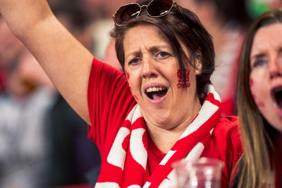 140326 - Wales v Italy - Guinness Six Nations - Fans During the Game