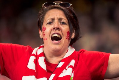 140326 - Wales v Italy - Guinness Six Nations - Fans During the Game