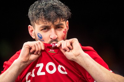 140326 - Wales v Italy - Guinness Six Nations - Fans During the Game