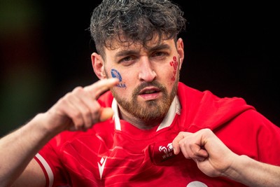140326 - Wales v Italy - Guinness Six Nations - Fans During the Game
