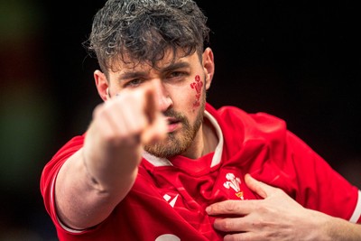 140326 - Wales v Italy - Guinness Six Nations - Fans During the Game