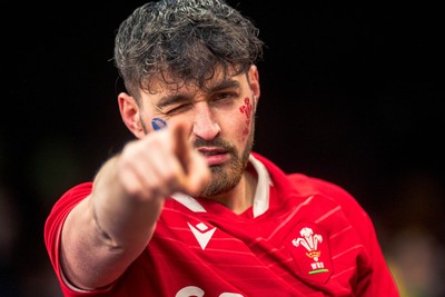 140326 - Wales v Italy - Guinness Six Nations - Fans During the Game