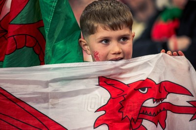140326 - Wales v Italy - Guinness Six Nations - Fans During the Game