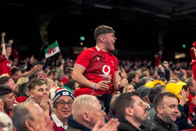 140326 - Wales v Italy - Guinness Six Nations - Fans During the Game