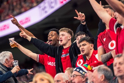 140326 - Wales v Italy - Guinness Six Nations - Fans During the Game