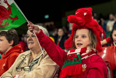 140326 - Wales v Italy - Guinness Six Nations - Fans During the Game