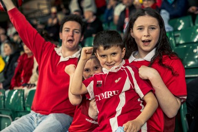 140326 - Wales v Italy - Guinness Six Nations - Fans During the Game