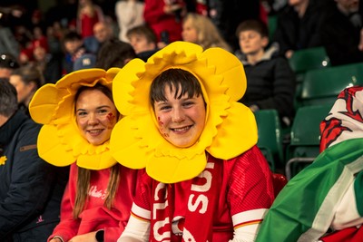 140326 - Wales v Italy - Guinness Six Nations - Fans During the Game