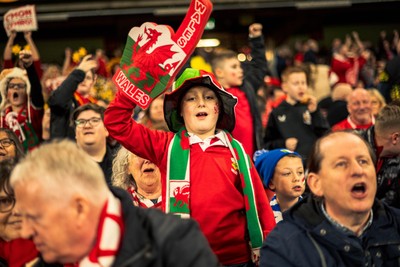 140326 - Wales v Italy - Guinness Six Nations - Fans During the Game