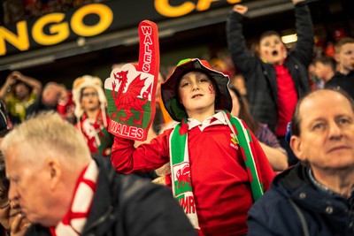 140326 - Wales v Italy - Guinness Six Nations - Fans During the Game