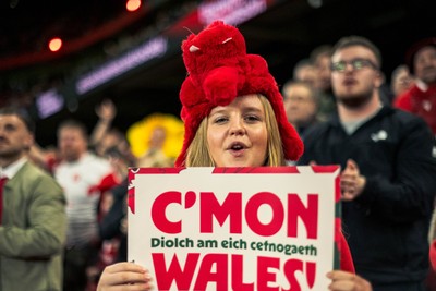 140326 - Wales v Italy - Guinness Six Nations - Fans During the Game