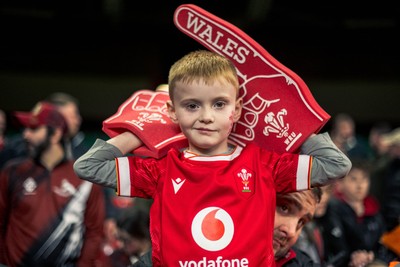 140326 - Wales v Italy - Guinness Six Nations - Fans During the Game