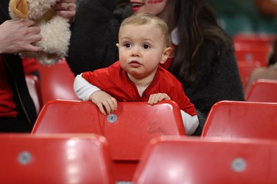 140326 - Wales v Italy - Guinness Six Nations Championship - Fans