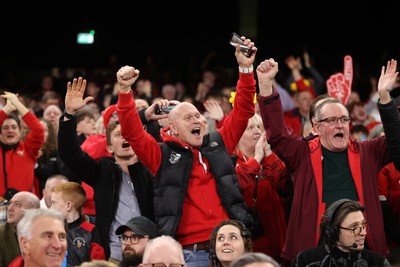 140326 - Wales v Italy - Guinness Six Nations Championship - Fans