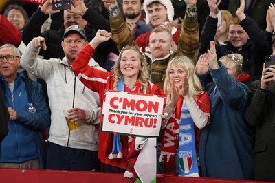 140326 - Wales v Italy - Guinness Six Nations Championship - Fans