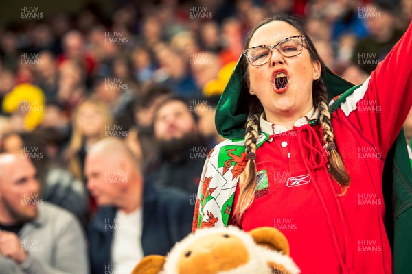 140326 - Wales v Italy - Guinness Six Nations - Fans During the Game