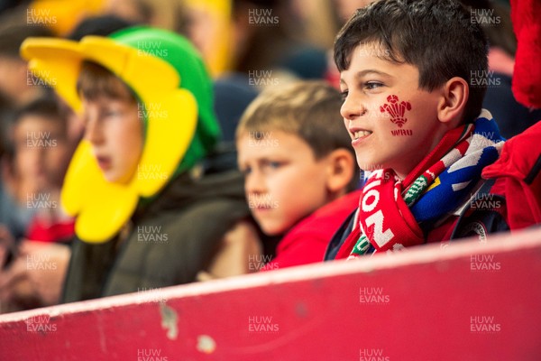 140326 - Wales v Italy - Guinness Six Nations - Fans During the Game