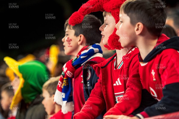 140326 - Wales v Italy - Guinness Six Nations - Fans During the Game