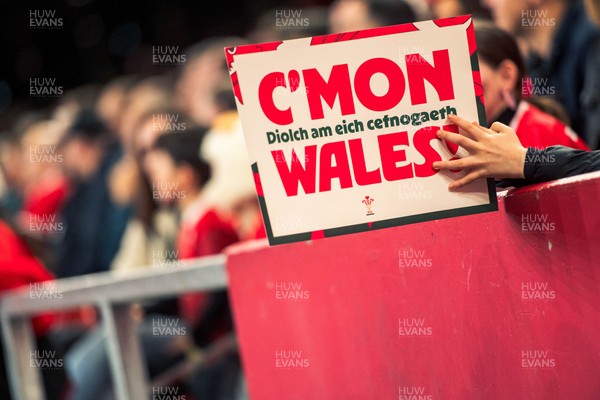 140326 - Wales v Italy - Guinness Six Nations - Fans During the Game