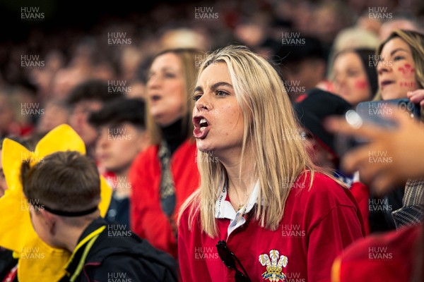 140326 - Wales v Italy - Guinness Six Nations - Fans During the Game