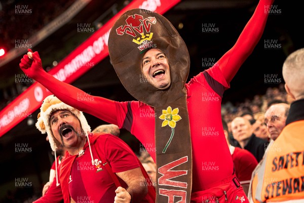 140326 - Wales v Italy - Guinness Six Nations - Fans During the Game