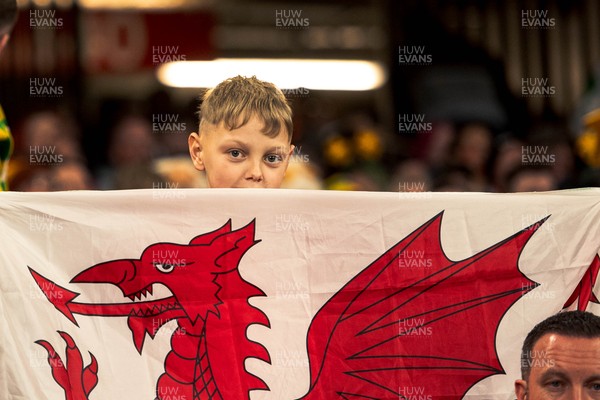 140326 - Wales v Italy - Guinness Six Nations - Fans During the Game