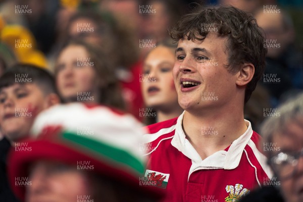 140326 - Wales v Italy - Guinness Six Nations - Fans During the Game