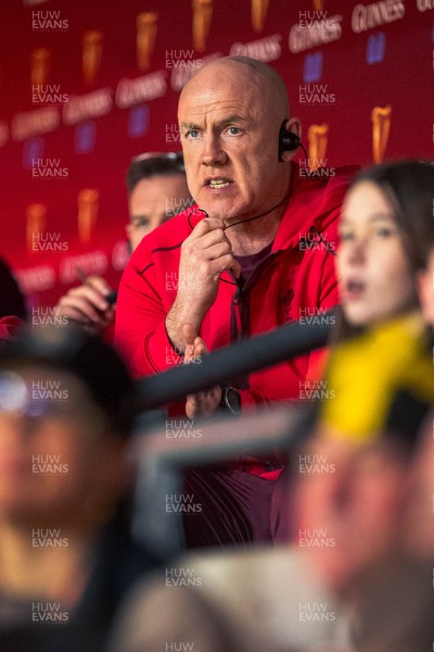 140326 - Wales v Italy - Guinness Six Nations - Wales Coach Steve Tandy looks on during the game 