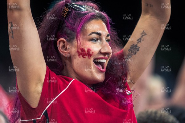 140326 - Wales v Italy - Guinness Six Nations - Fans During the Game