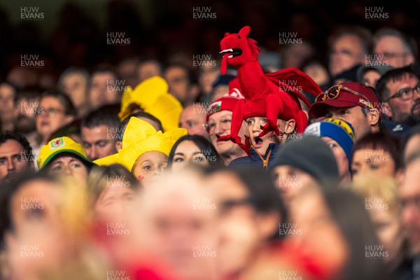 140326 - Wales v Italy - Guinness Six Nations - Fans During the Game