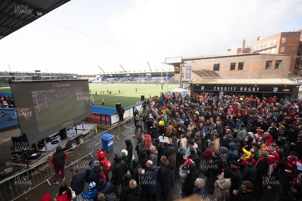140326 - Wales v Italy - Guinness Six Nations - Fans in Cardiff Arms Park ahead of the game 