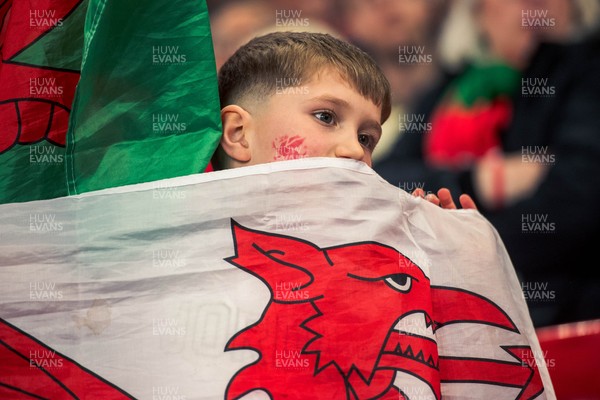 140326 - Wales v Italy - Guinness Six Nations - Fans During the Game