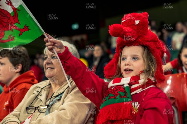 140326 - Wales v Italy - Guinness Six Nations - Fans During the Game
