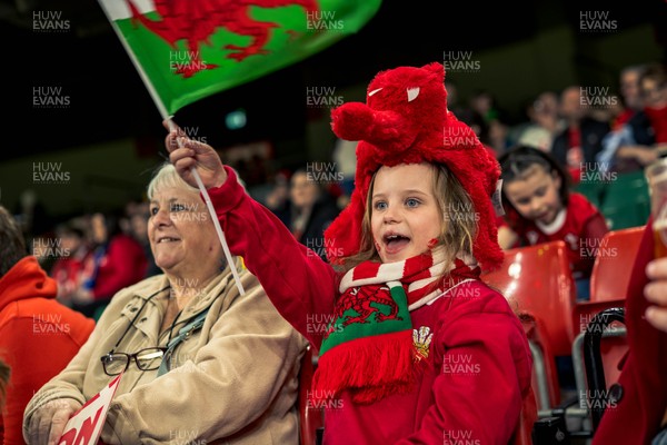 140326 - Wales v Italy - Guinness Six Nations - Fans During the Game
